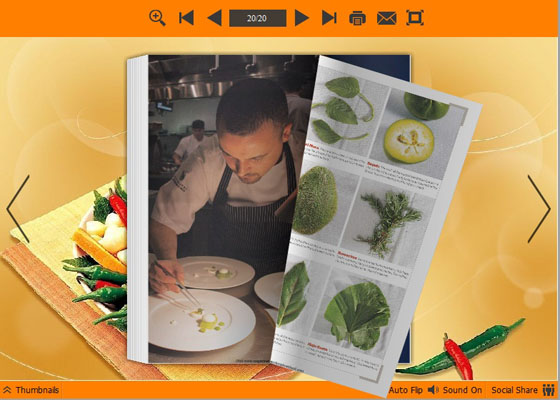 delicacy templates for PDF to Flipping Book