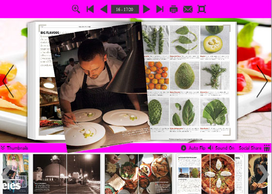 delicacy templates for PDF to Flipping Book